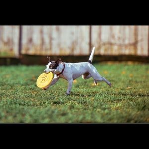 Meet your Posher, Maple